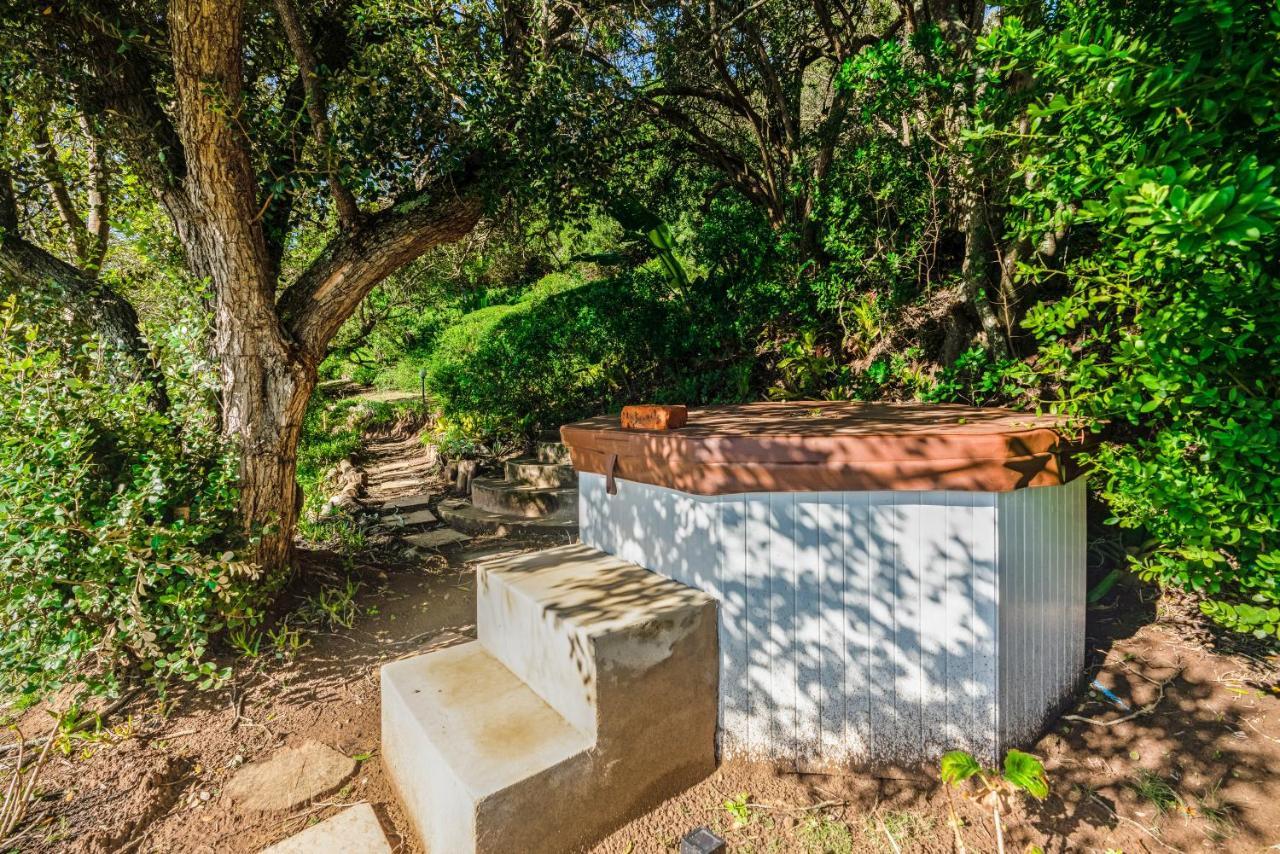 Coney Glen Penthouse Apartment Knysna Exterior photo